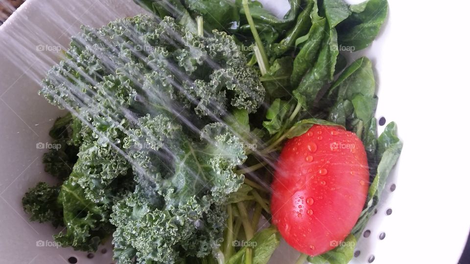 Food, Vegetable, Healthy, Leaf, Salad