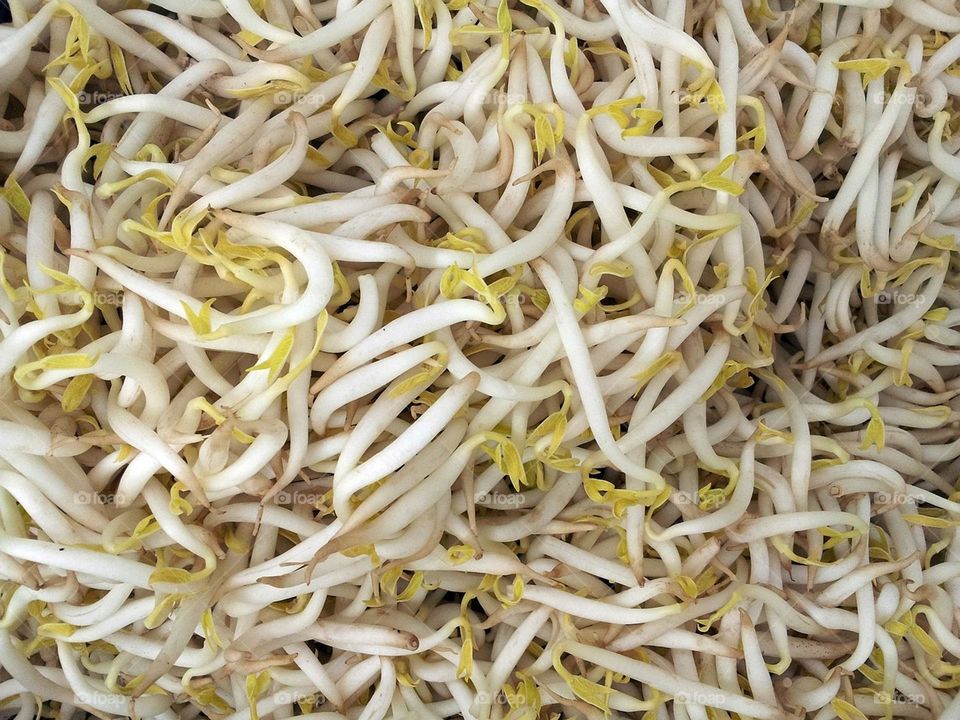 Bean sprouts