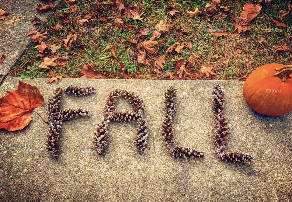 Fall 🍂🍁
