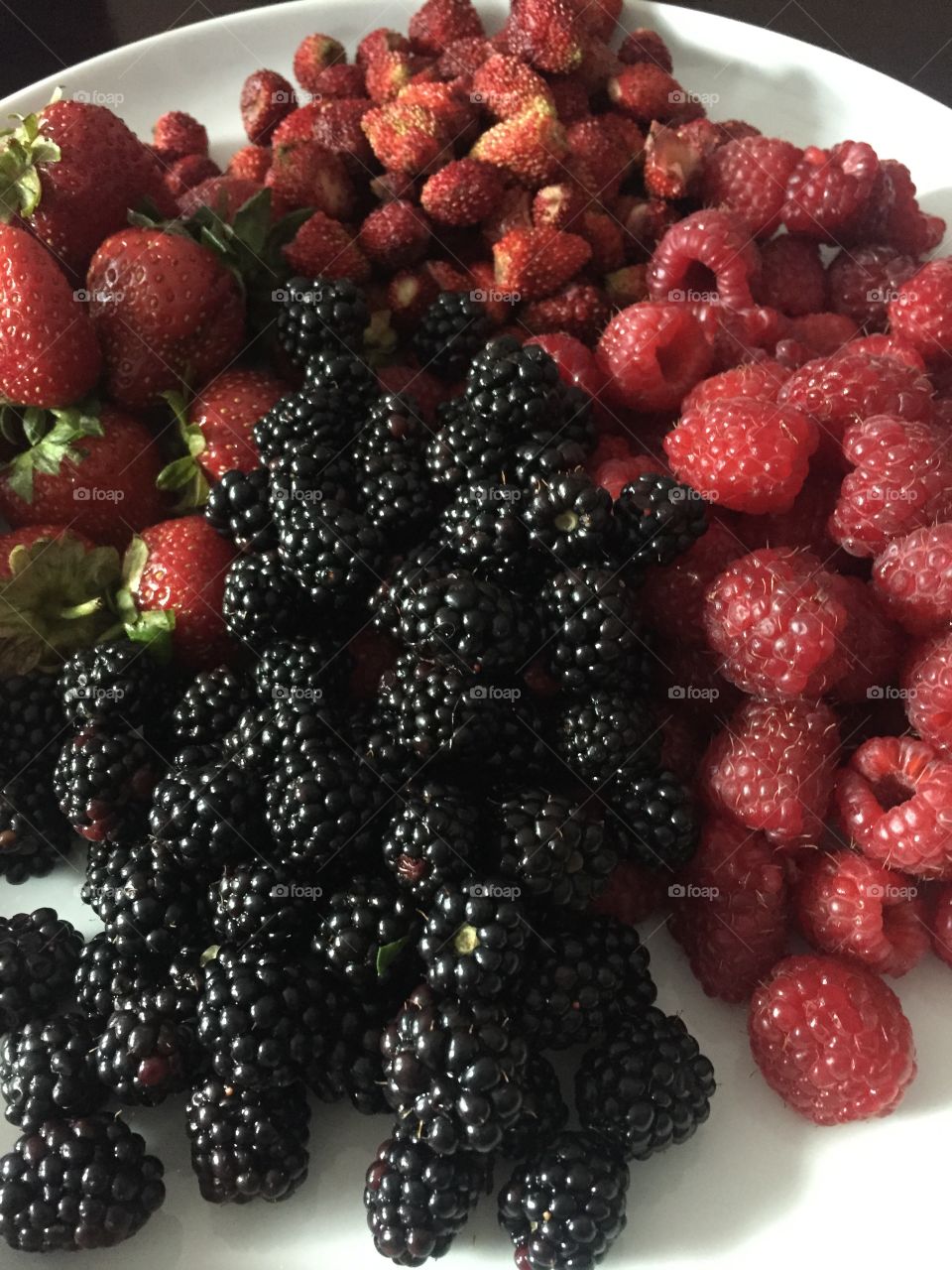 Summer berries 