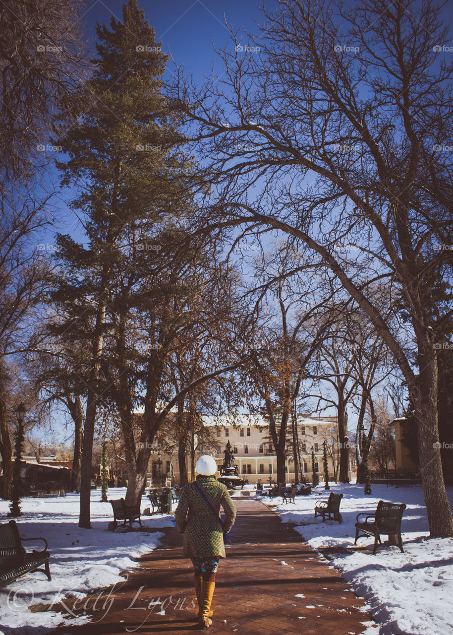 Walk in the Park