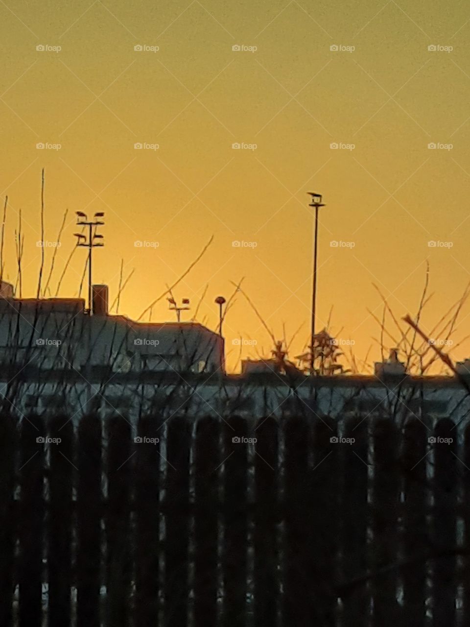 yellow  sky at sunset  with silhouettes  of buildings