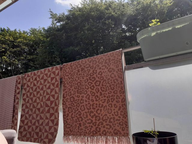 life begins on the terrace