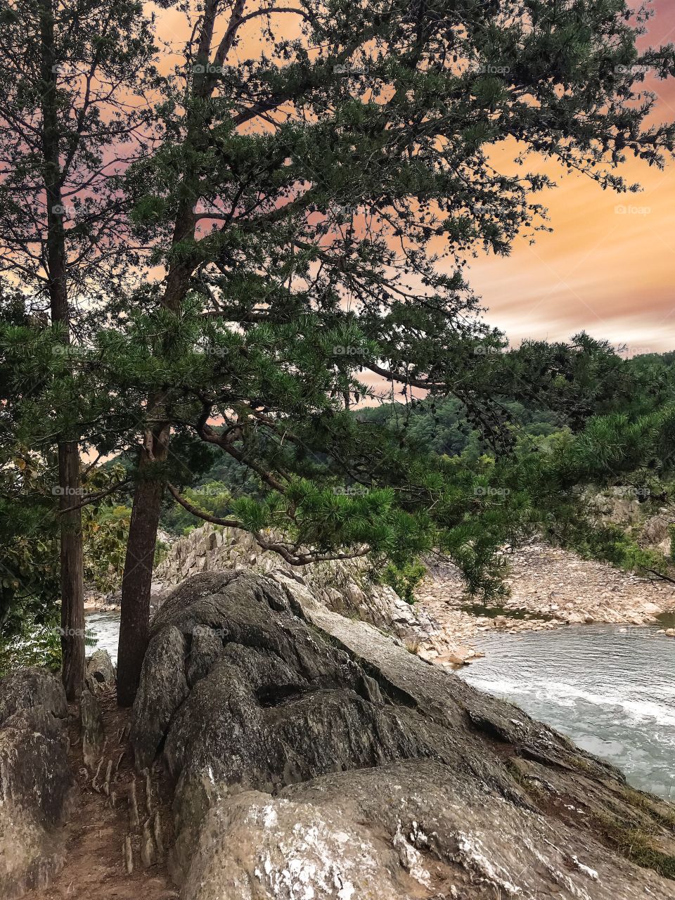 Trees, river and rocks 