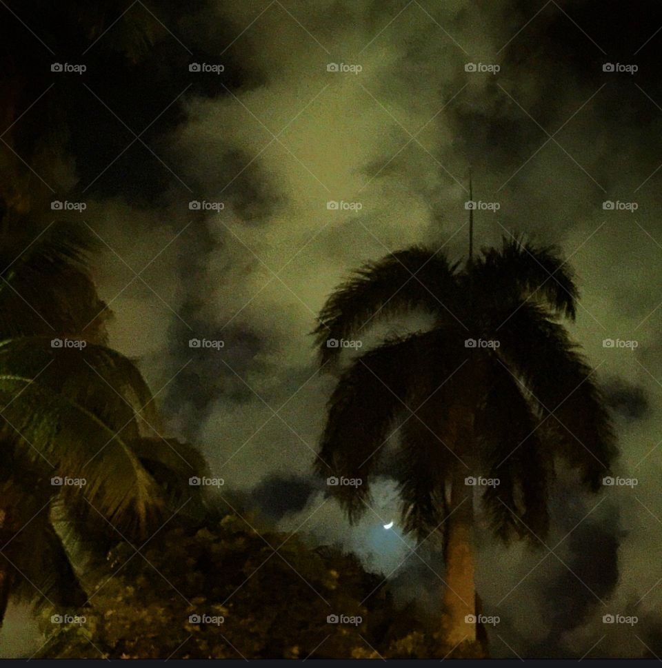 Palm Trees. Nighttime  Stormy weather rolling in at Fort Lauderdale Beach 