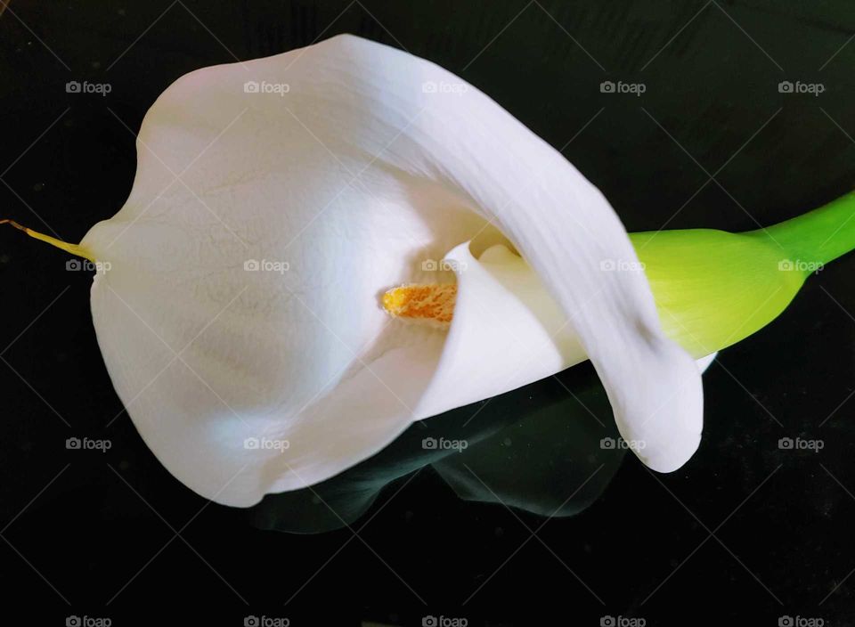 Potassium flower