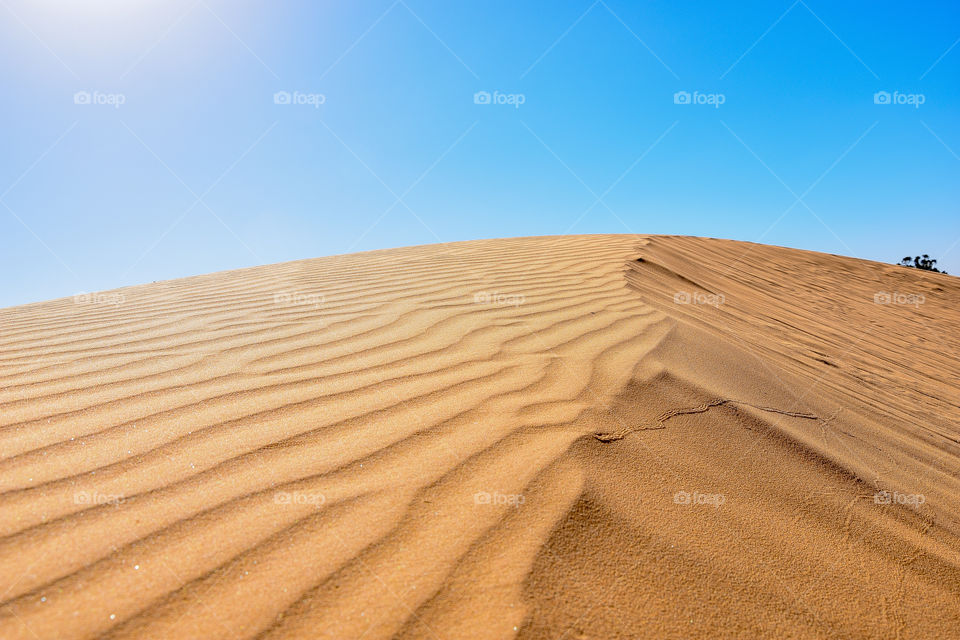 Desert