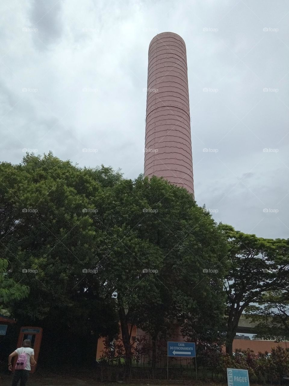 Editors'Choice Photo of the week A beleza do contraste: A Natureza envolvendo a torre