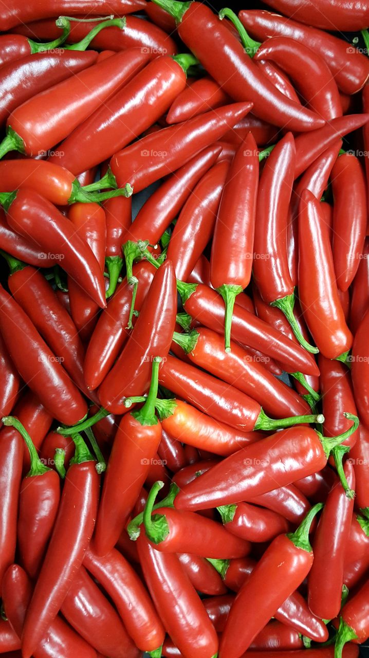 Red chillies