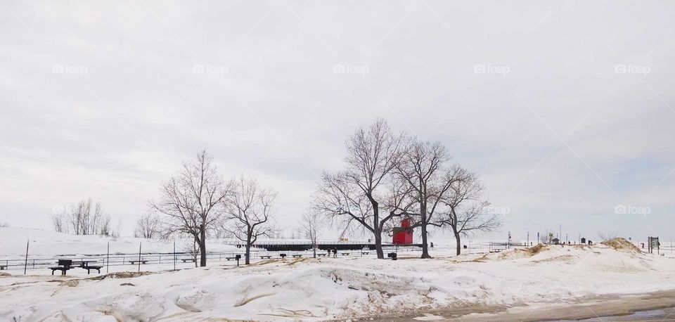 Big Red in Winter