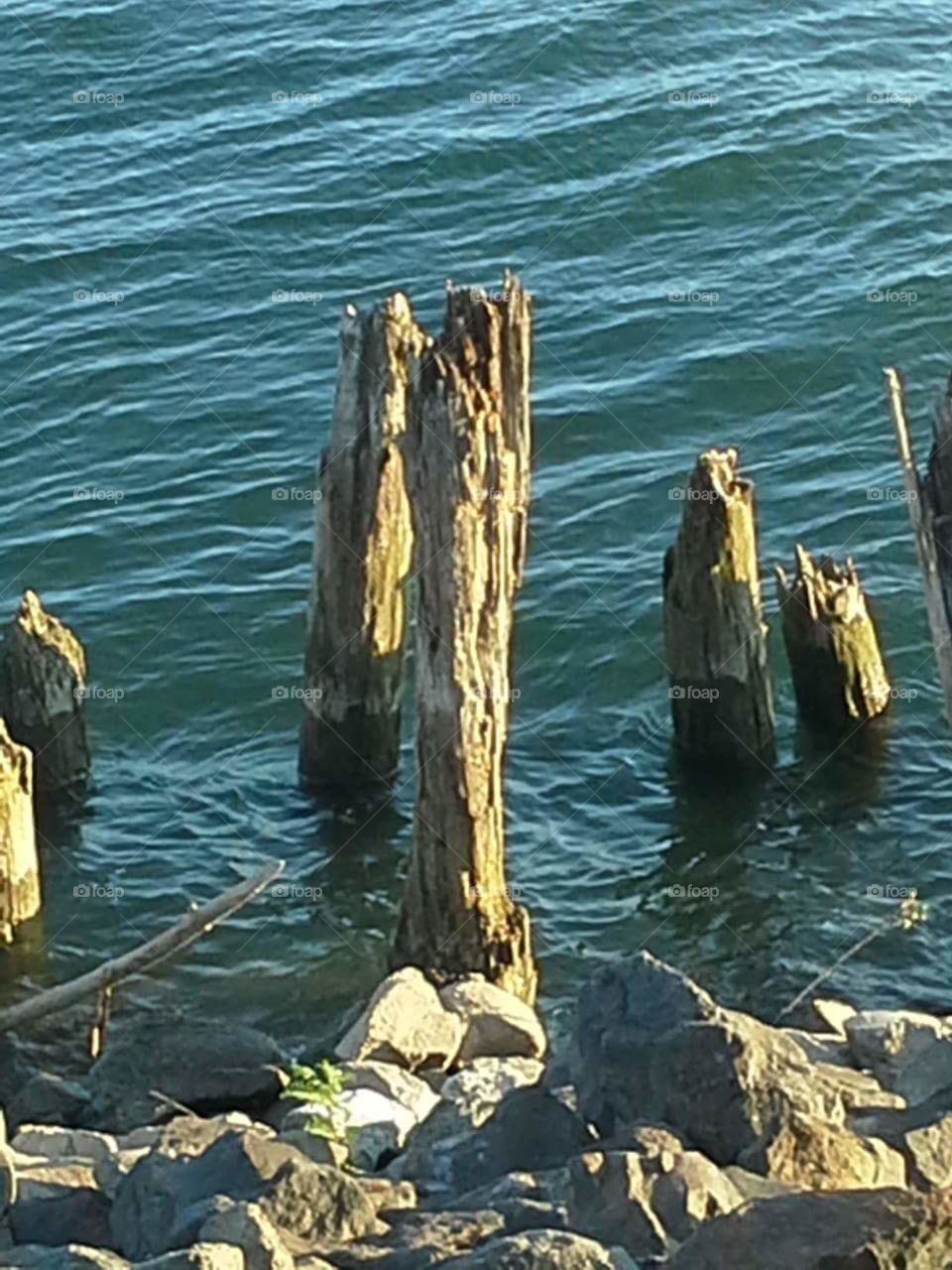 Old docking posts.