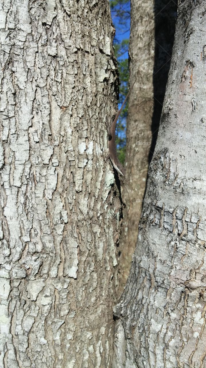 Ah! Spring is in the air and the sun feels good.