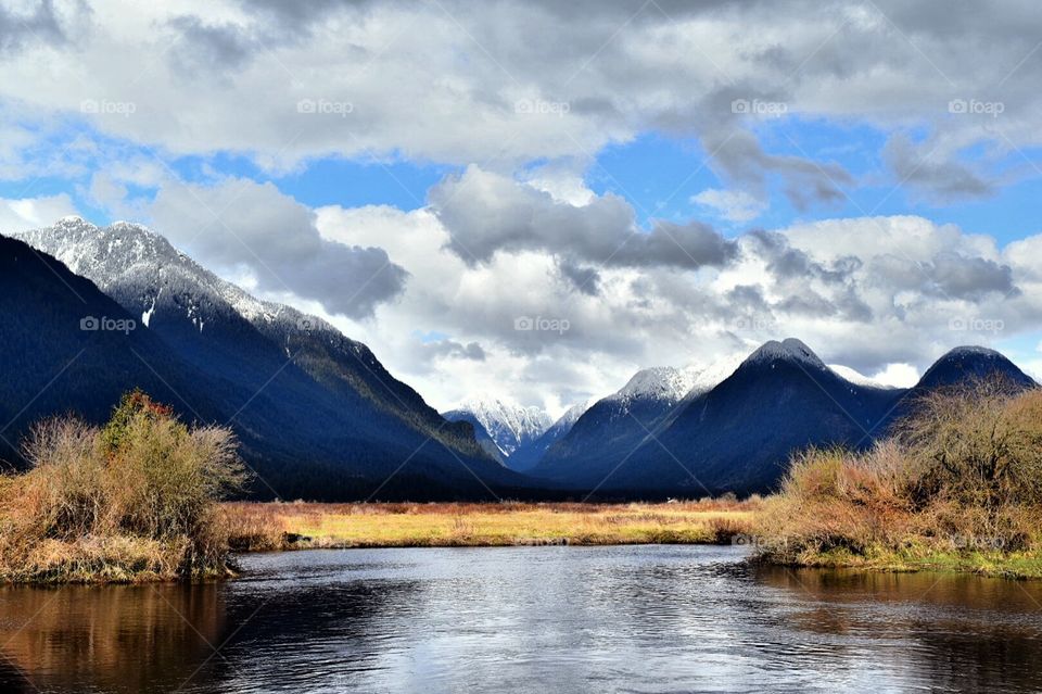 Walking the Pitt River Dyke system and enjoying the views.