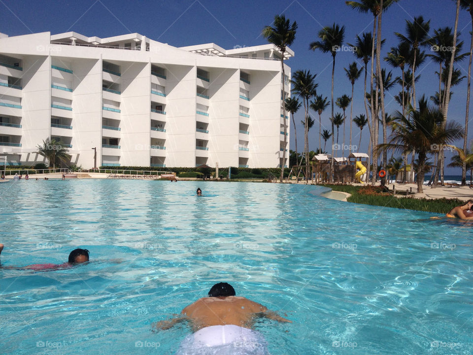 blue summer sunny palm by jorgebernal