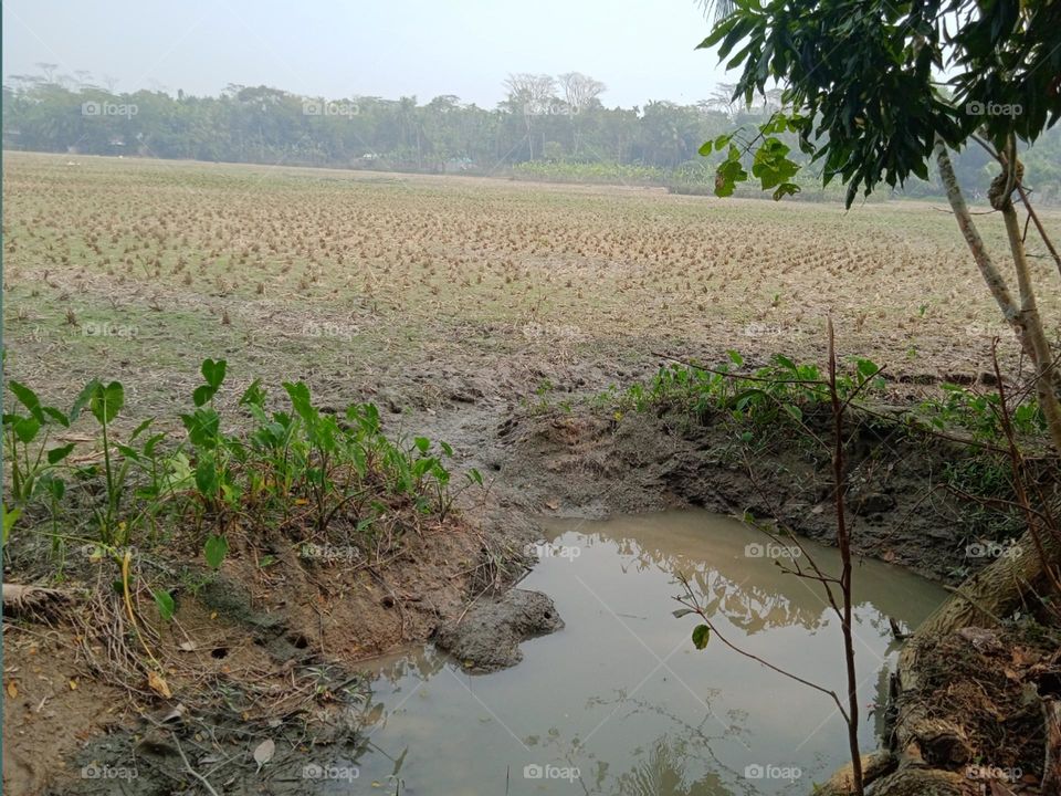 Editors' Choice:Photo of the week