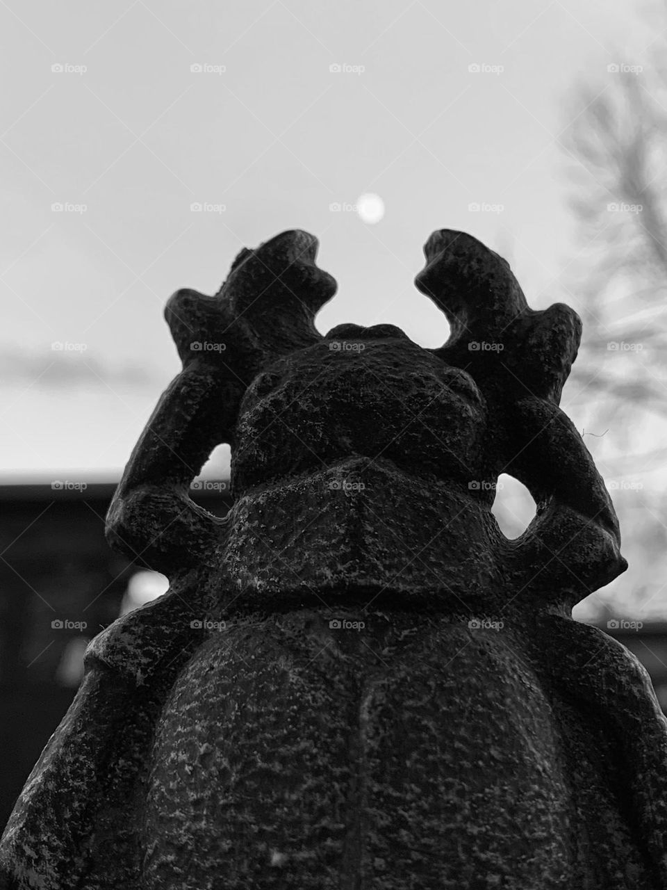 Ironwork Beetle reaches for the moon. The moon, however, is just a bit out of reach. 