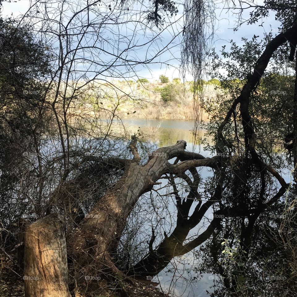 Lake Trammell.  South of Sweetwater , Texas. 