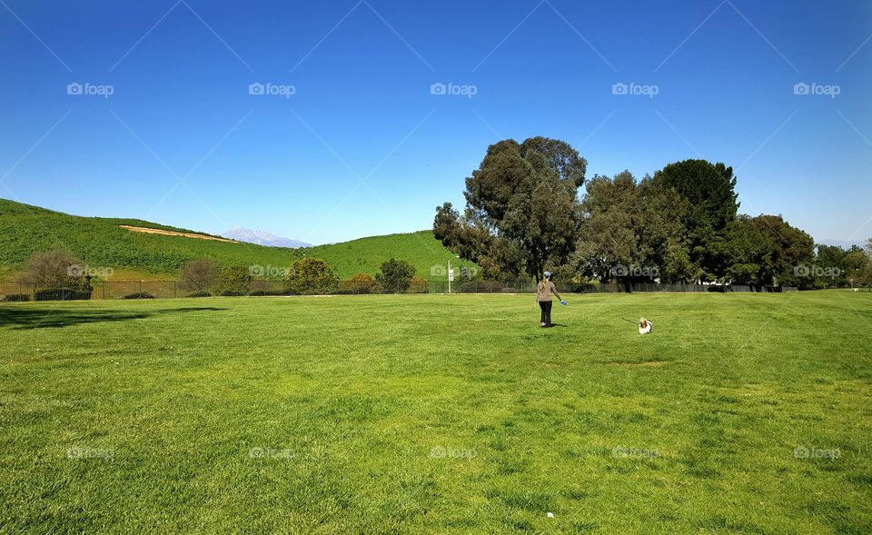 Person walk their dog on a bright spring day at a park