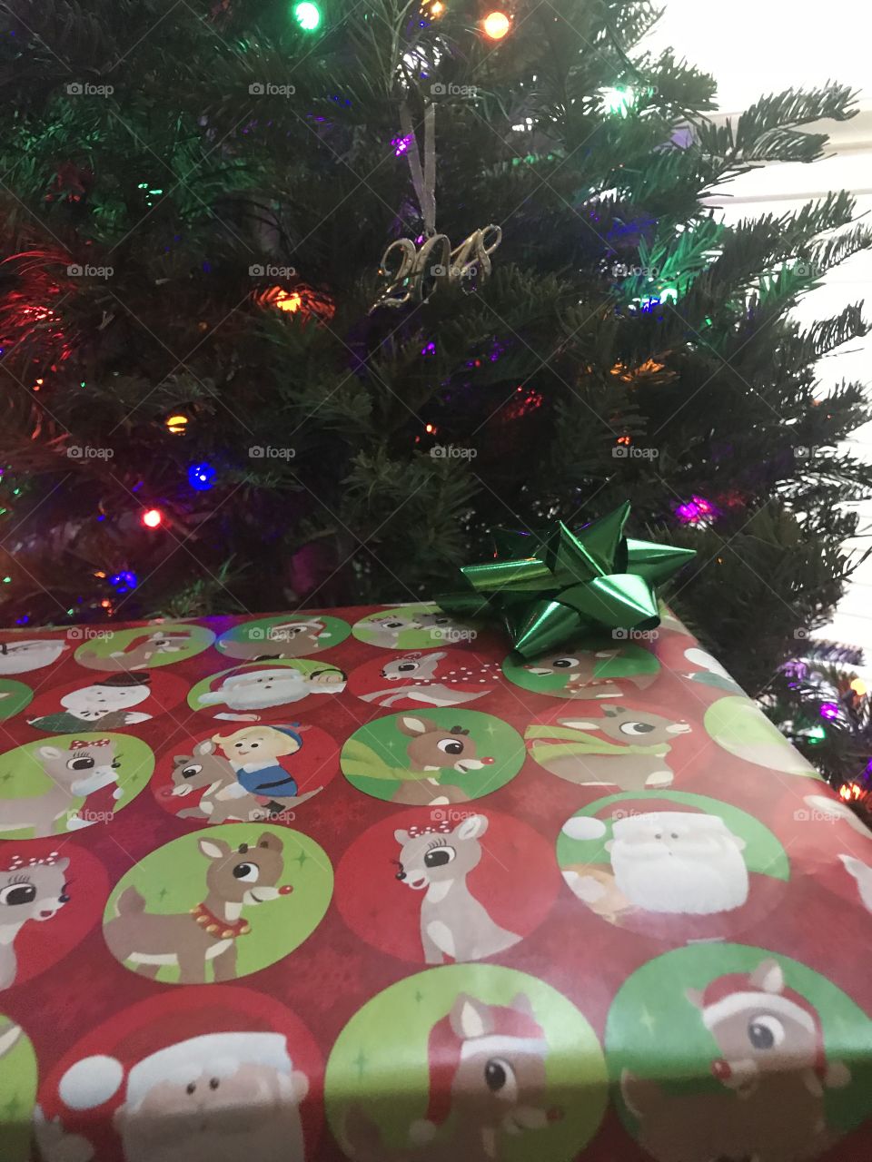 A Rudolph the red nosed reindeer Christmas package and wrapping paper displayed in front of the Christmas tree with a 2018 ornament on the tree. USA , America