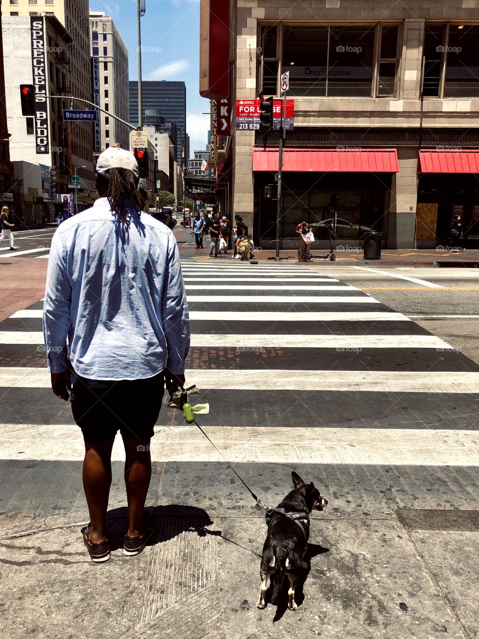 A large man with a small dog waits at the crosswalk at a red light on Broadway in Downtown Los Angeles CA 6.12.2020