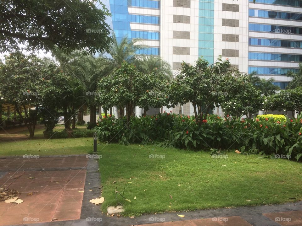 Park outside office