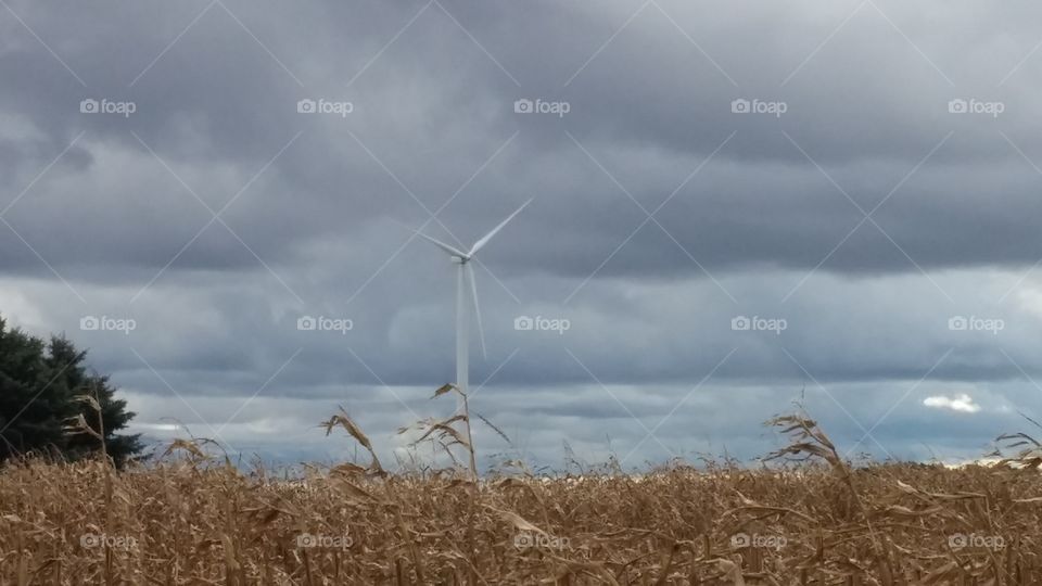 Wind Turbine on Autumn. WIND TURBINE AT WIND FARM