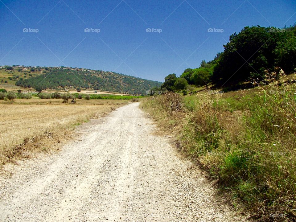 A dirt road in the field
