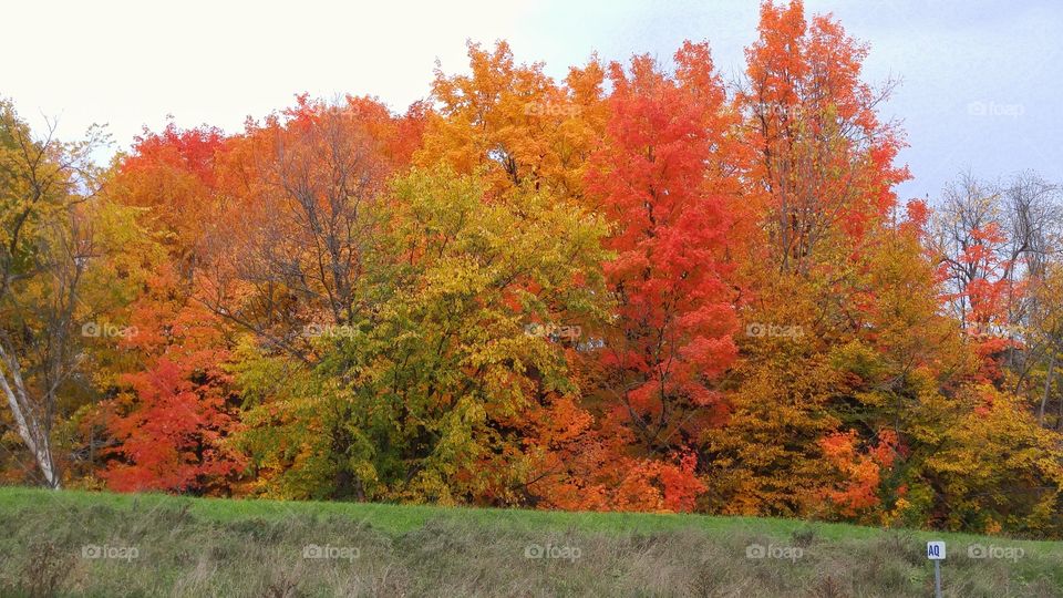 The colors of Autumn