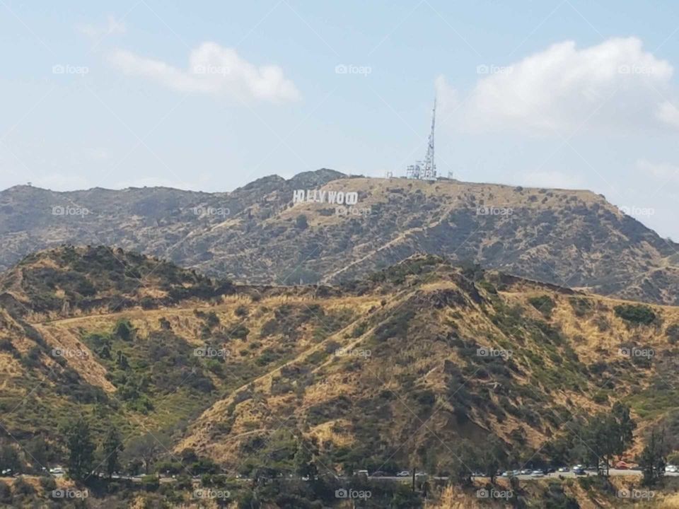 Hollywood smog