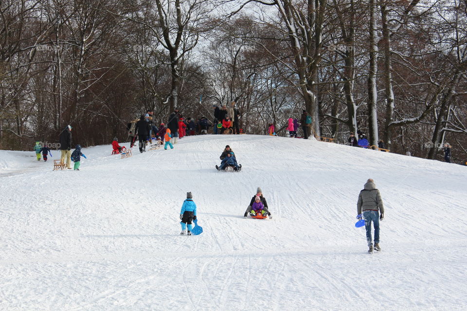 sliding down from the snowy hill