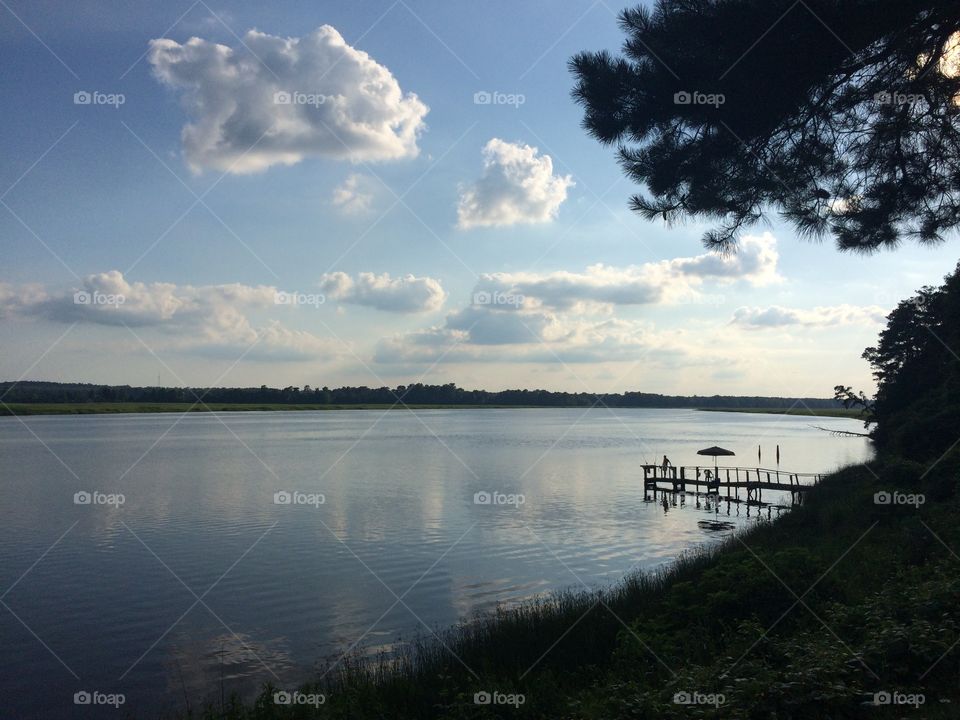 Water, Lake, Landscape, Tree, No Person