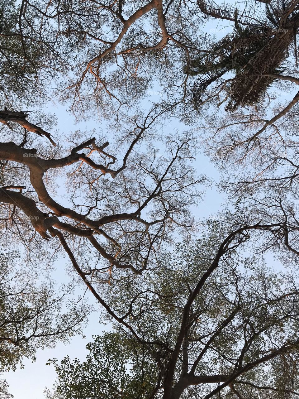 Hermosa vista al cielo en otoño 