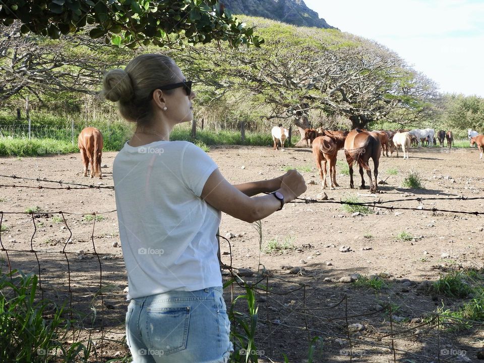 kualoa ranch