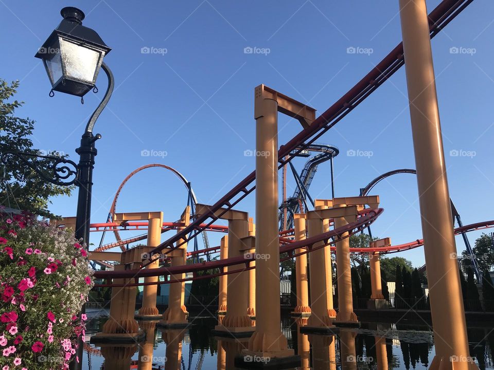 Roller coaster reflection in water below with flowers 