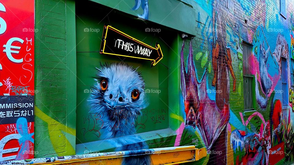 Colorful emu graffiti on Lower Burnett Lane in Brisbane Australia.
