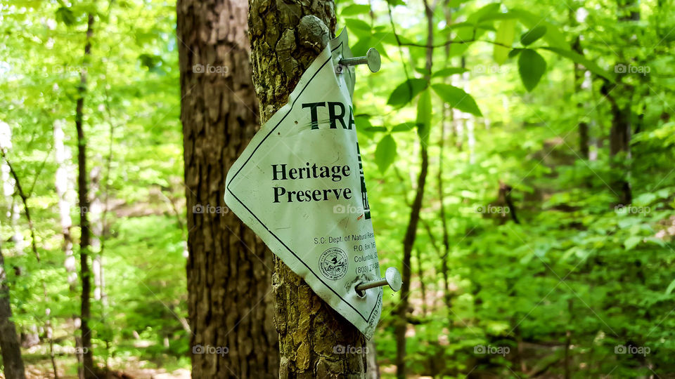 Heritage Preserve Trail- A sign is nailed to a small tree on the trail.