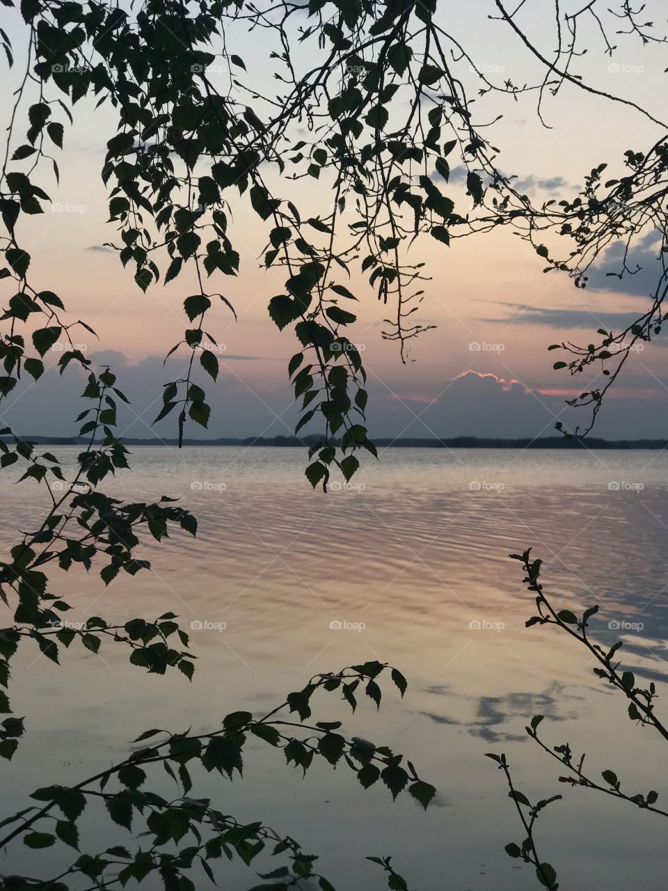 Summer night at the lake