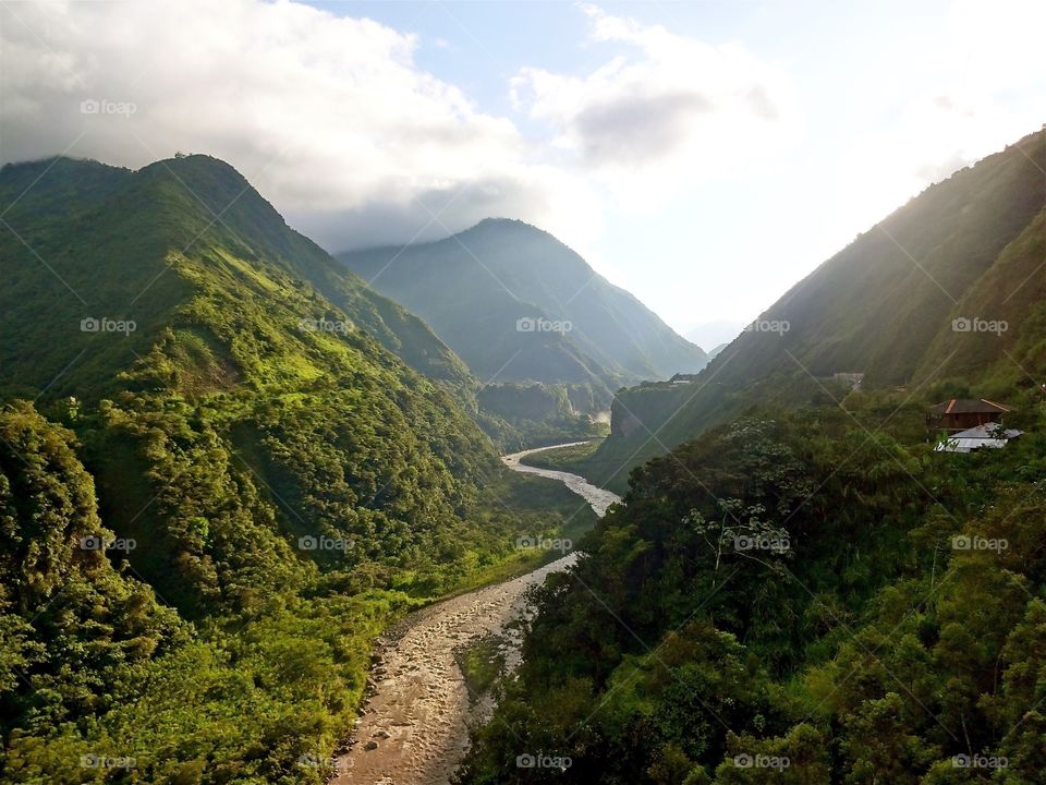 Hiking in the Amazon Basin 