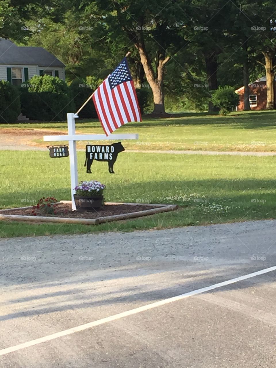 American Cattle Farm Welcome. American flag entrance at a cattle farm 