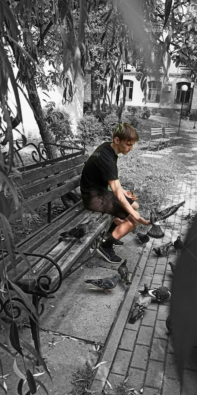 boy feeding birds