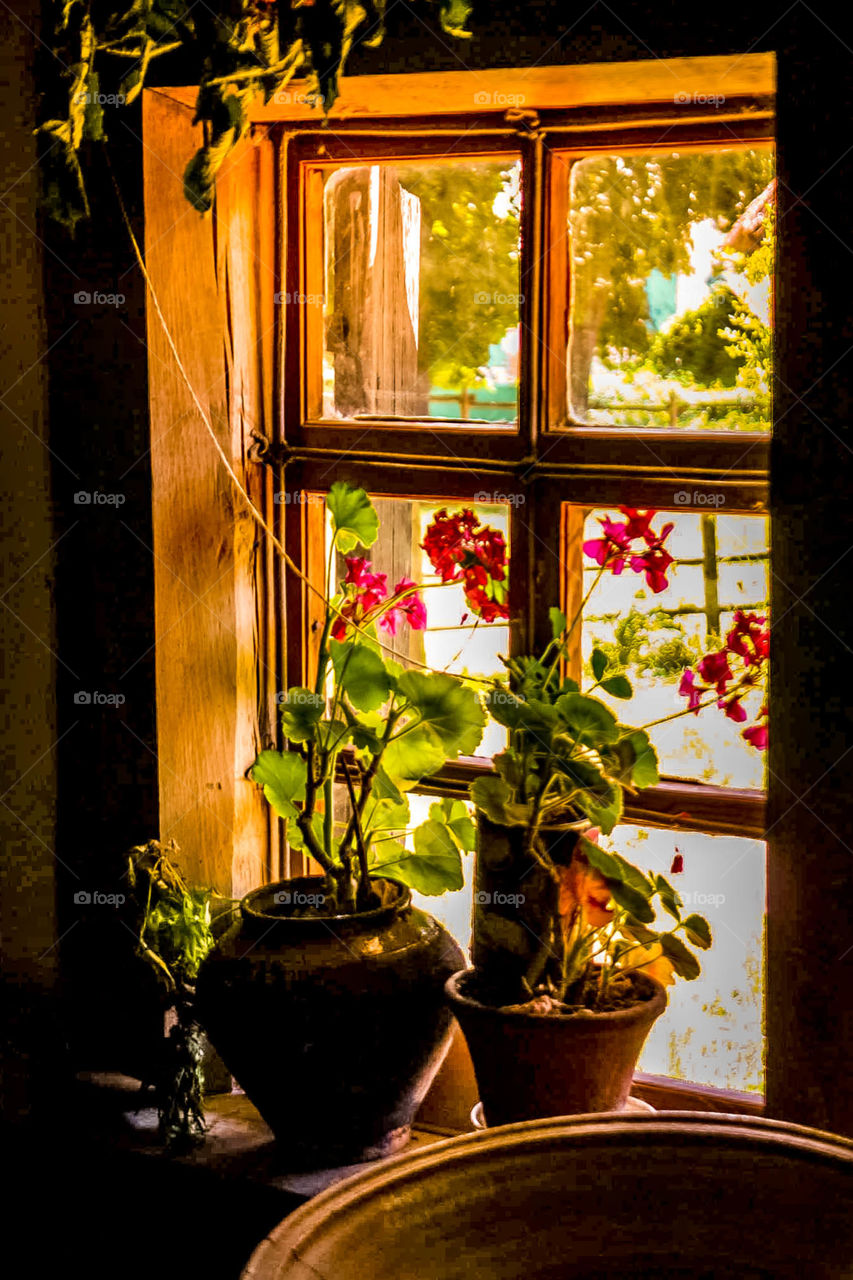 Rustic style window