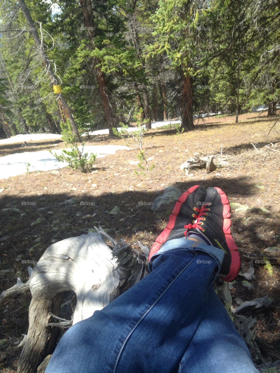 My point of view... At the top of the mountain