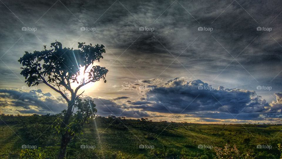 trilha dos tonéis Gama DF