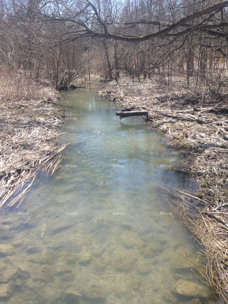 Bowmanville creek