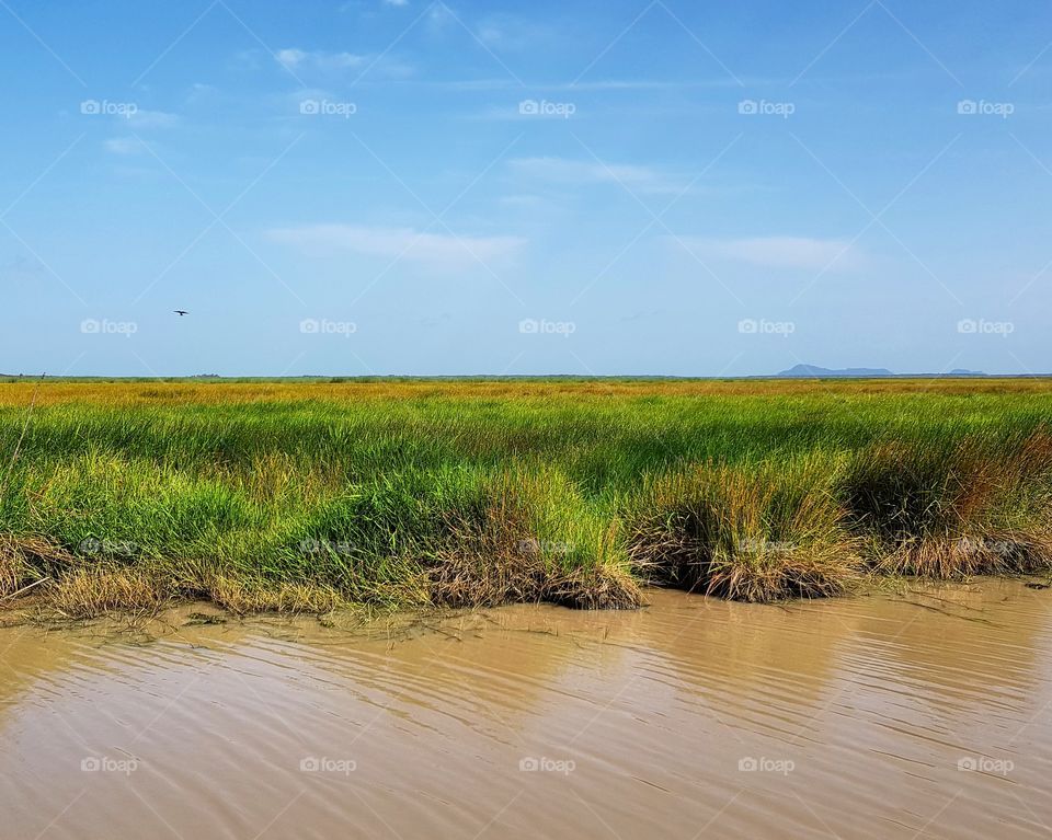 Scenic view of meadow against blue sky