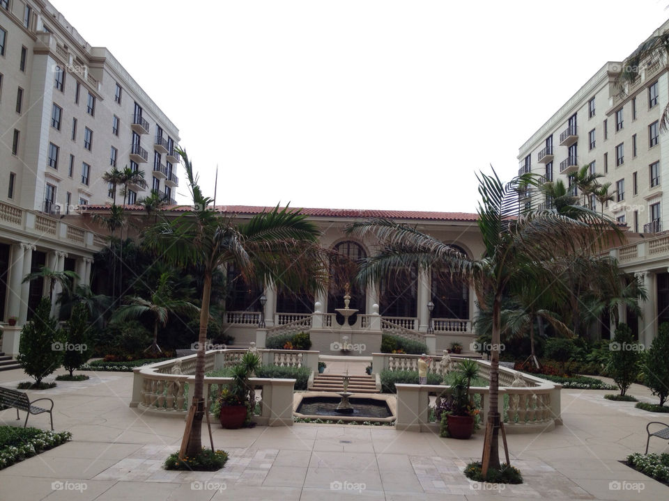 palm trees fountain hotel by slah426