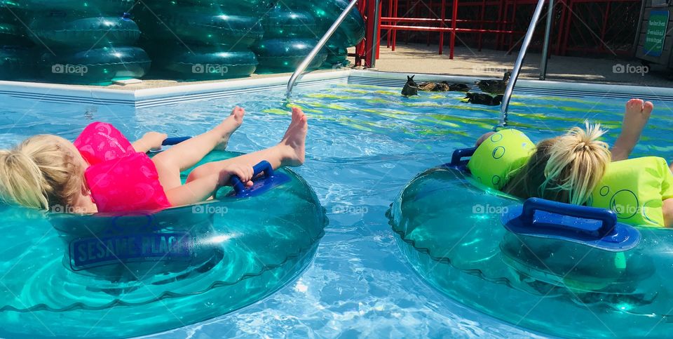 Floating with the ducks in the swimming pool. 