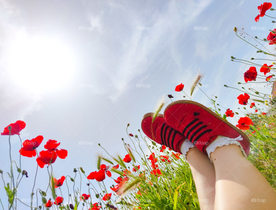 Happy red shoes in the poppy field