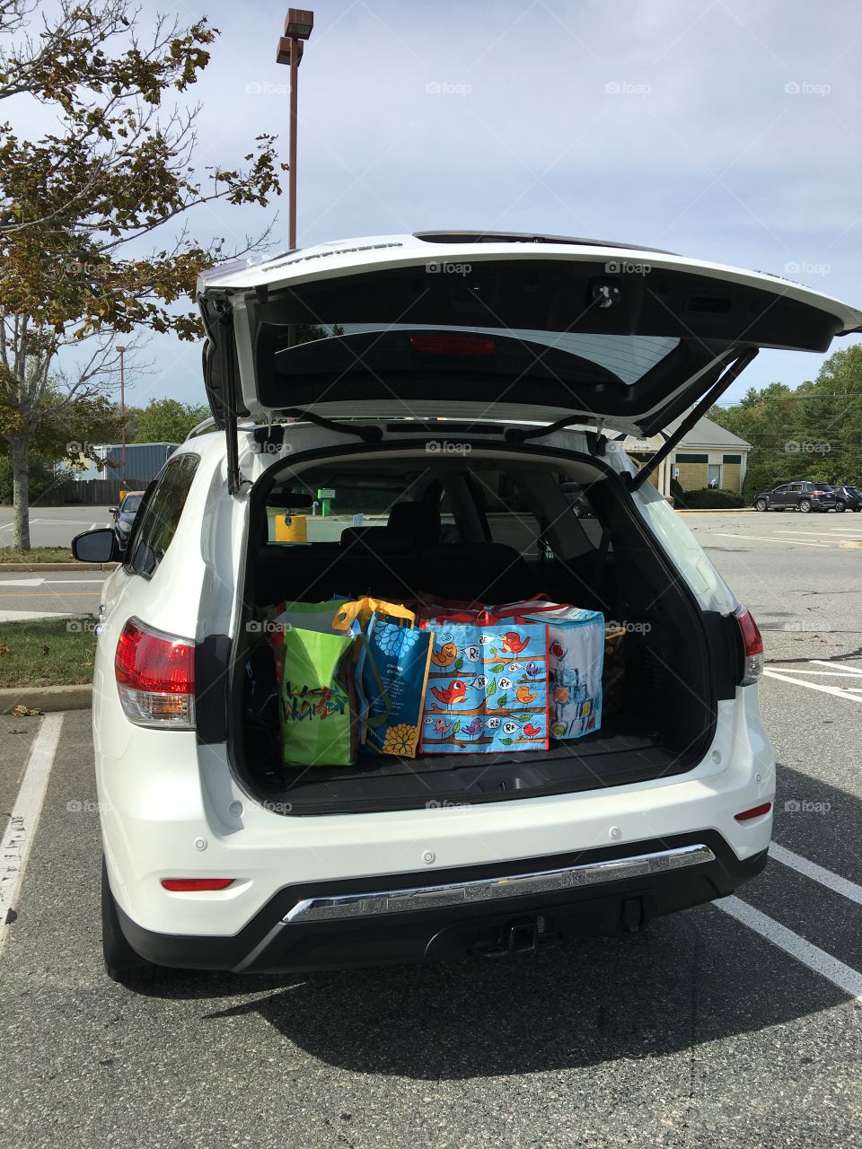 Grocery shopping & bags in back of car, lift still up!