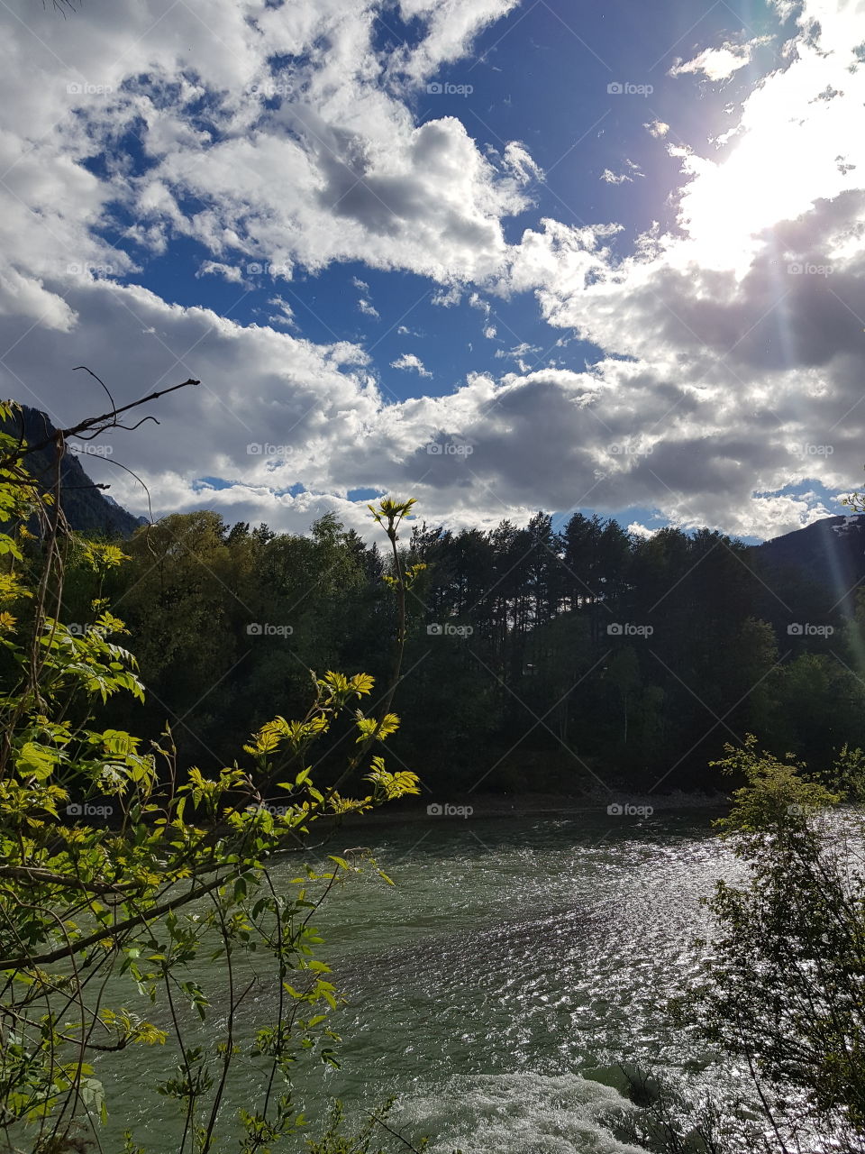 Wasser🌳🍃🌱💧☀️
